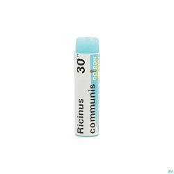 Ricinus Communis 30ch Gl Boiron