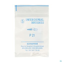 Proximal Brosse S/manche Conique 5 P21