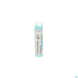 Chamomilla Vulgaris 7ch Gr 4g Boiron
