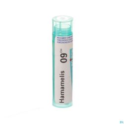 Hamamelis Virginiana 9ch Gr 4g Boiron