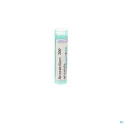 Anacardium Orientale 200k Gr 4g Boiron