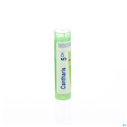 Cantharis 5ch Gr 4g Boiron