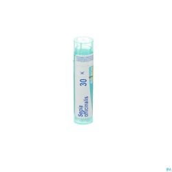 Sepia Officinalis 30k Gr 4g Boiron