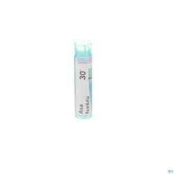 Asa Foetida 30k Gr 4g Boiron