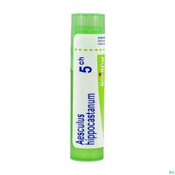 Aesculus Hippocastanum 5ch Gr 4g Boiron