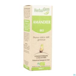 Herbalgem Amande Douce Macerat 50ml