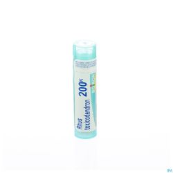Rhus Toxicodendron 200k Gr 4g Boiron