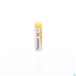 Psorinum 15ch Gl Boiron