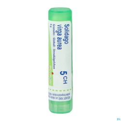 Solidago Virgaurea 5ch Gr 4g Boiron