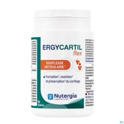 Ergycartil Flex Caps 90