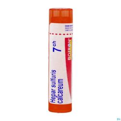 Hepar Sulfuris Calcareum 7ch Gr 4g Boiron