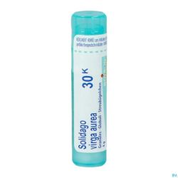 Solidago Virgaurea 30k Gr 4g Boiron