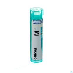 Silicea Mk Gr 4g Boiron