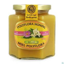Melapi Polyflora+gelee Royale 500g 5534 Revogan