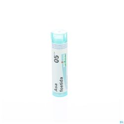 Asa Foetida 05ch Gr 4g Boiron