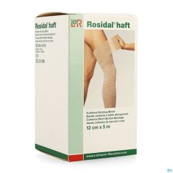 Rosidal Haft Bande Cohesive 12cmx5m 1 31976