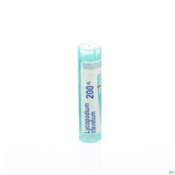 Lycopodium Clavatum 200k Gr 4g Boiron