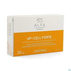 Alfa Up-cell Forte Comp 30