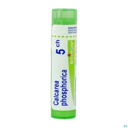 Calcarea Phosphorica 5ch Gr 4g Boiron