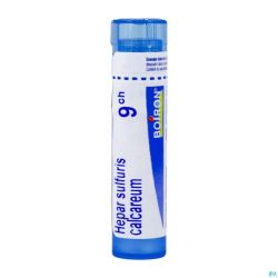 Hepar Sulfuris Calcareum 9ch Gr 4g Boiron
