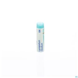 Lycopodium Clavatum Mk Gl Boiron