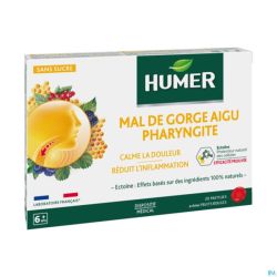 Humer Pharyngite Fruits Rouges Past 20