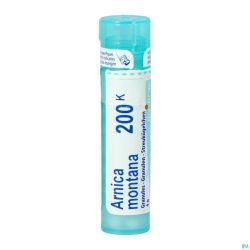 Arnica Montana 200k Gr 4g Boiron