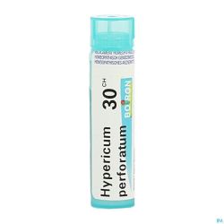 Hypericum Perforatum 30ch Gr 4g Boiron