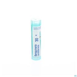 Sanguinaria Canadensis 30k Gr 4g Boiron