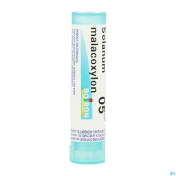 Solanum Malacoxylon 5ch Gr 4g Boiron