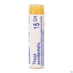 Thuya Occidentalis 15ch Gl Boiron