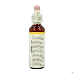 Bach Flower Remedie 36 Wild Oat 20ml