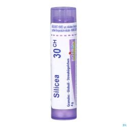 Silicea 30ch Gr 4g Boiron