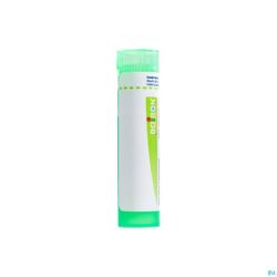 Sticta Pulmonaria 5ch Gr 4g Boiron