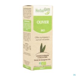 Herbalgem Olivier Macerat 50ml