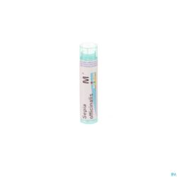 Sepia Officinalis Mk Gr 4g Boiron
