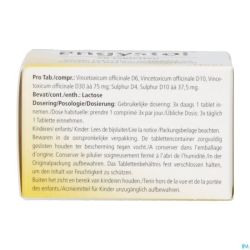 Engystol Comp 250 Heel