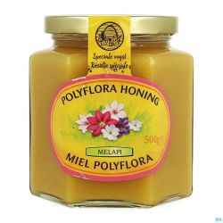 Melapi Miel Polyflora Tendre 500g 5531 Revogan