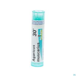 Agaricus Muscarius 30k Gr 4g Boiron