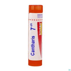 Cantharis 7ch Gr 4g Boiron