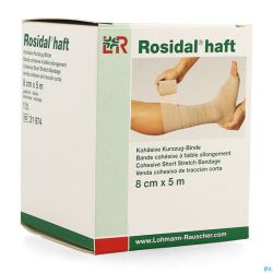 Rosidal Haft Bande Cohesive 8cmx5m 1 31974
