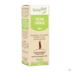 Herbalgem Vigne Vierge Macerat 50ml