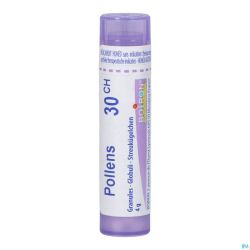 Pollens 30ch Gr 4g Boiron