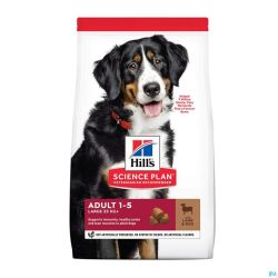 Science Plan Canine Adult Large Lamb&rice 14kg