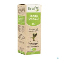 Herbalgem Rosier Sauvage Macerat 50ml