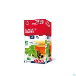Biolys Cassis Bio Tea-bags 20