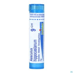 Aesculus Hippocastanum 9ch Gr 4g Boiron