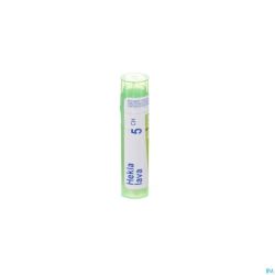 Hekla Lava 5ch Gr 4g Boiron