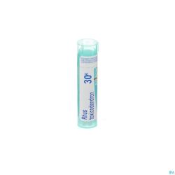 Rhus Toxicodendron 30k Gr 4g Boiron