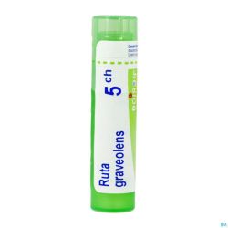 Ruta Graveolens 5ch Gr 4g Boiron